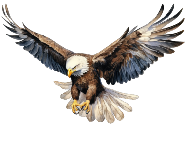 Siyah arka planda izole edilmiş kel bir kartalın 3 boyutlu görüntüsü