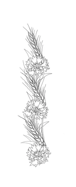 Květinová Ozdoba Chrpy — Stock fotografie
