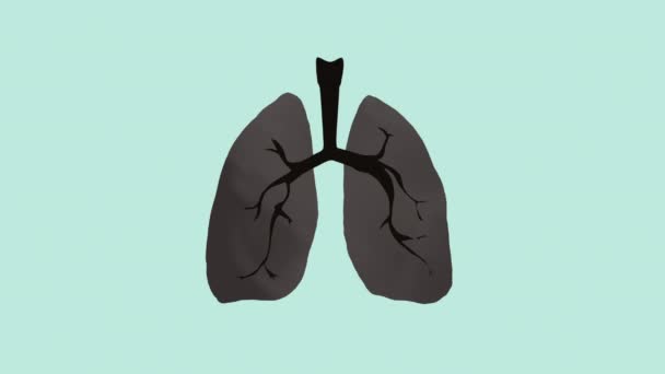 Normal Healthy Lungs Turn Black Smokers Lungs Heal Afterwards Animation — Video Stock
