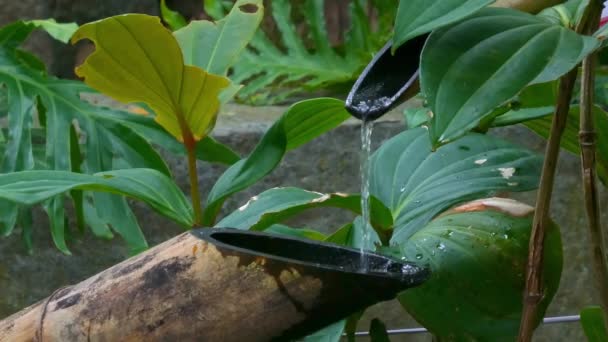 Klasyczne Bambusowe Rury Wodne Azjatyckim Ogrodzie Szczegół — Wideo stockowe