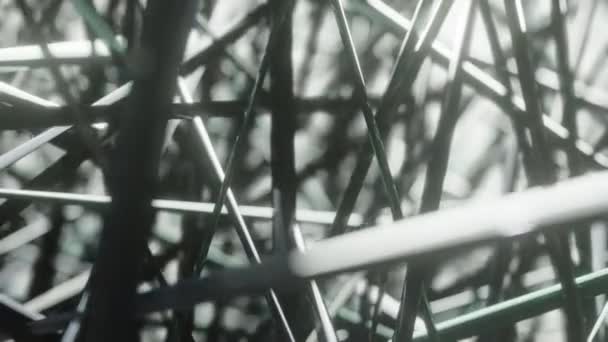Συνυφασμένες Αφηρημένες Γυαλιστερές Ίνες Που Κινούνται Χώρο Φόντο Σκούρο Animation — Αρχείο Βίντεο