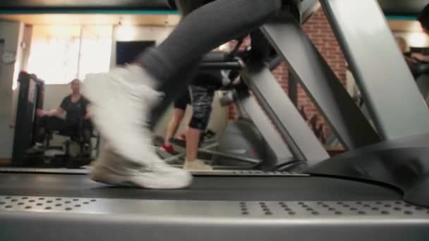 Cardio Lauftraining Athlete Sports Recreation Fitness Workout Der Turnhalle Marathonläufer — Stockvideo