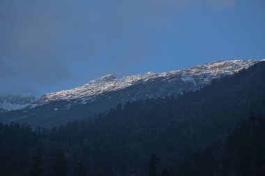 Büyük Himalayalar 'ın çam ormanlarının ötesindeki devasa kar tepeli dağ sırasının panoramik manzarası. Fotoğraf, Hindistan, Sikkim 'in Mangan ilçesinde yükselen bir turizm merkezi olan Lachen' den gündoğumunda çekildi.