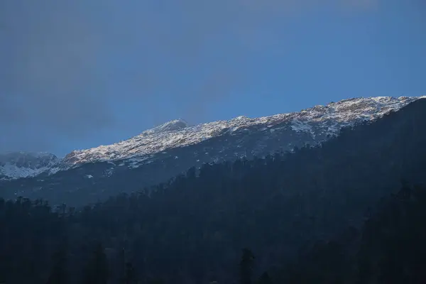 Panoramablick Auf Die Schneebedeckte Himalaya Gebirgskette Hinter Kiefernwäldern Foto Bei — Stockfoto