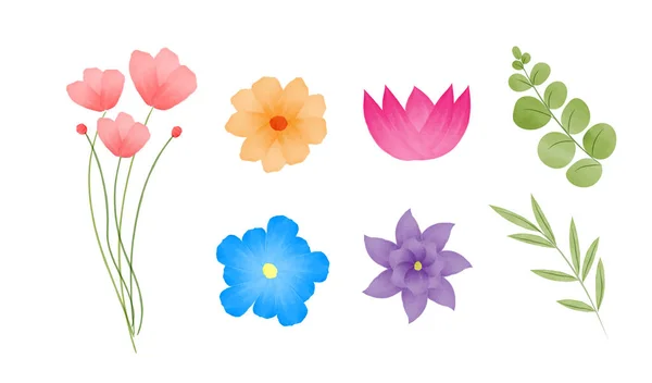 Set Von Floralen Elementen Blumen Und Blätter Vereinzelt Hochzeitskonzept Blumen — Stockvektor