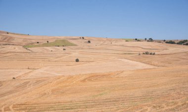 Yazın buğday tarlaları hasat et. Küresel ısınma ve kuraklık kavramı. Türkiye 'de kuraklık.