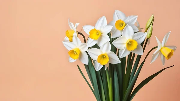 Hafif şeftali arkaplanda soldan bir buket beyaz nergis. Mesaj için boş yer var.