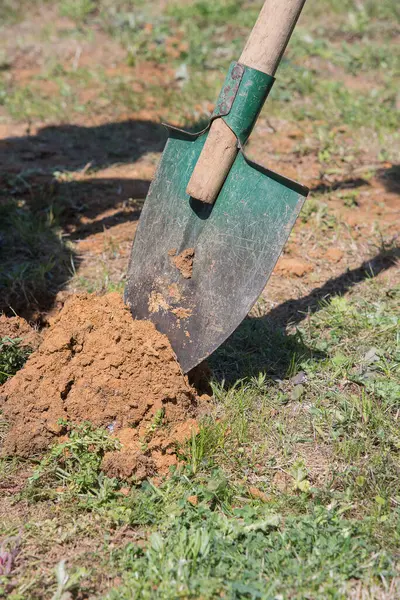 Worker digs the black soil with shovel in the garden, man loosens dirt in the farmland