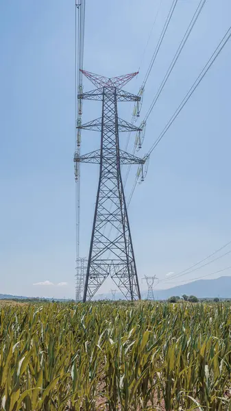 stock image electric poles in the middle of the field.