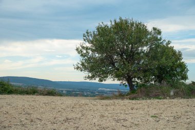 Arazi kuraklıktan dolayı kurudu. Çevresel bir sorun. ekoloji kavramı