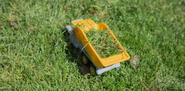 Güneşli bir günde çimlerin üzerinde oyuncak arabalar.