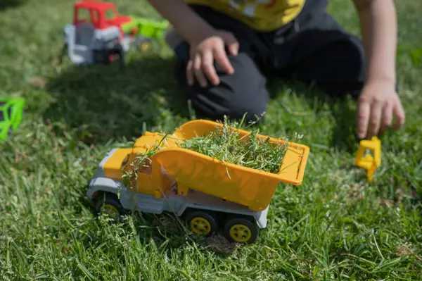 Bir çocuk güneşli bir günde çimlerde oyuncak arabalarla oynar..