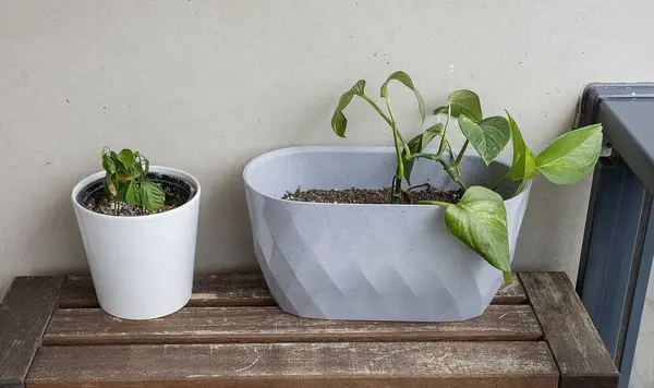 Balkondaki çiçekler sıcaktan kuruyor..