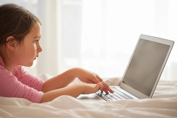 Child Using Laptop Little Kid Playing Laptop Stock Fotografie