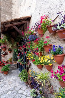 A charming wall adorned with vibrant flower pots in the historic village of Casertavecchia, Italy. This picturesque scene highlights the beauty and simplicity of Italian traditions, with lush greenery and colorful blooms creating atmosphere clipart