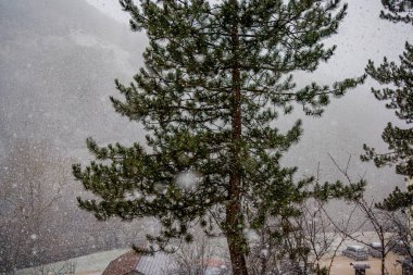 A serene winter scene showcasing a gentle snowfall covering a countryside landscape. The bare trees and a quaint roofed structure add to the peaceful atmosphere, with snowflakes dancing in the air. clipart