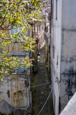 Maratea 'nın tarihi merkezinde renkli binalar, çiçekli balkonlar, dükkanlar ve arka planda kilise kulesi manzarası arasında turistlerin dolaştığı pitoresk bir ara sokak.