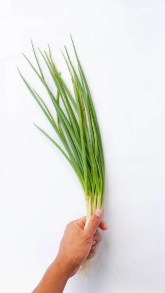 stock image The hand that is holding the green onion on a white mat. Leeks are a type of vegetable that is widely used for cooking.