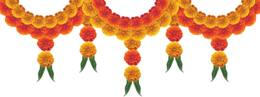 Marigold çiçekleri dekorasyon için şenlikli asılı element