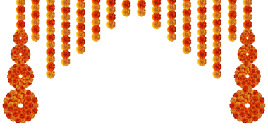 Kırmızı turuncu kadife çiçeği tasarım dekorasyonu için asılı.