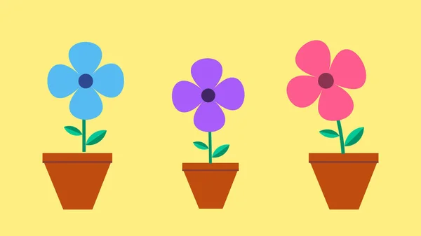 Animação Flor Simples Colorido Alta Resolução — Fotografia de Stock