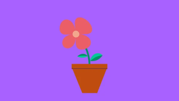 Simple Flower Growing Waving Animation — Stock Photo, Image