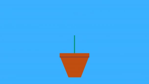 Simple Flower Growing Waving Animation 60Fps Rgb Alpha Explainer Video — Stock Video