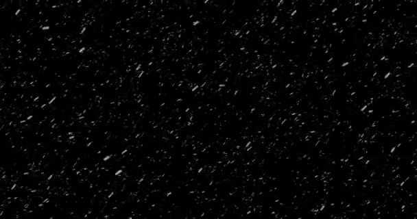 Κινηματογραφική Χιονόπτωση Βρόχο Animation Ενός Σουρεαλιστικού Ρεαλιστική Νιφάδα Χιονιού Πτώση — Αρχείο Βίντεο