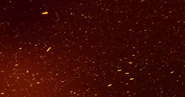 Filmowe Ogniste Płomienie Cząstek Pyłu Poruszające Się Losowo Błyszczące Płatki — Wideo stockowe