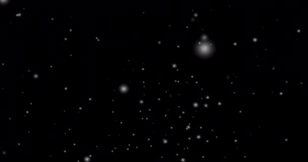 Cinematische Sneeuwval Lus Animatie Van Een Surrealistische Sneeuwvlok Vallen Sneeuwval — Stockvideo