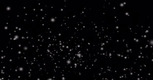 Cinematische Sneeuwval Lus Animatie Van Een Surrealistische Sneeuwvlok Vallen Sneeuwval — Stockvideo