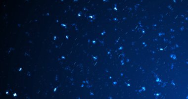 Kor parçacıkları siyah arka planda yanan ateş tozu. Cehennem arkaplanı parıldayan kozmik toz hareketi alevler alev alev yanan odanmış kor kıvılcımlar gökyüzünde parlıyor. Kozmik patlama.