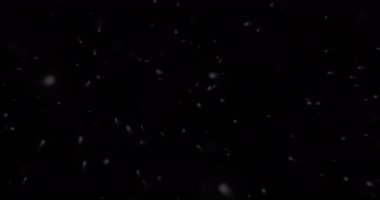Parlak, parıldayan tahıl tozu parçacıkları yüzen karanlık oda 4K. Akışkan soyut toz rastgele uçuşan gerçekçi kar kış sabahı parıltıları ışık saçar. VFX varlık buhar bg 'sini örtüyor