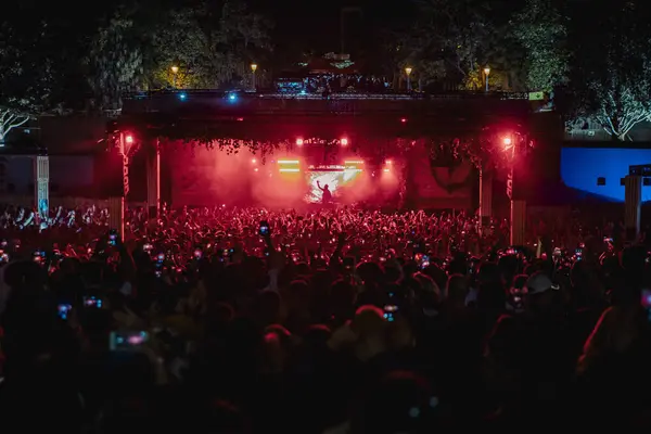 Konser sırasında kalabalığın genel görüntüsü. Yüksek kalite fotoğraf