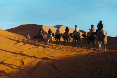 Sahara çölünde deveye binen bir grup insan, Merzouga. Yüksek kalite fotoğraf