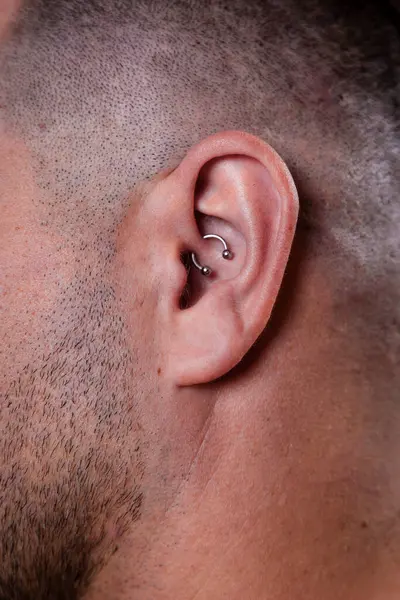 Outer ear black tragus piercing on adult white man. High quality photo