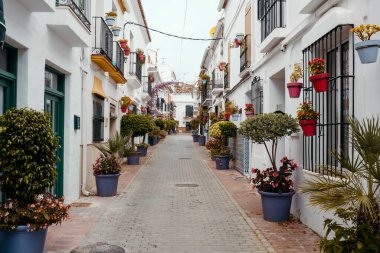 Estepona 'nın eski kasabasında, beyaz yıkanmış evler, canlı saksılar ve yemyeşil bitkilerle dolu, büyüleyici bir yaya sokağı. Endülüs 'ün güney kıyısından, turizm ve yaşam tarzı görselleri için mükemmel bir manzara. Yüksek kalite fotoğraf