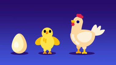 Koyu mavi arka planda bir tavuk ve bir yumurta, çiftlikteki yaşam, annelik ve beslenme döngüsünü sembolize eder.