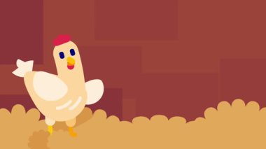 Beyaz bir tavuk kümeste tek başına duruyor, ahırdaki günlük rutinini keşfetmeye hazırlanırken etrafındakileri merakla izliyor.