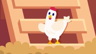 İki tavuk, ahşap bir rampada duruyor, ileriye bakıyor, ortak bir çiftlik ortamında işbirliği ve arkadaşlığı simgeliyor.