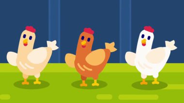 Üç tavuk yeşil bir çayırda toplanır, güneş ışığının tadını çıkarırlar ve çiftlikteki tavukların doğal davranışlarını gösterirler.