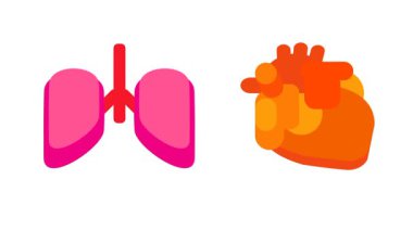 Akciğer ve kalbin birlikte çalıştığını gösteren bir çizim, solunum sistemi senkronizasyonu ve oksijen akışını sembolize ediyor