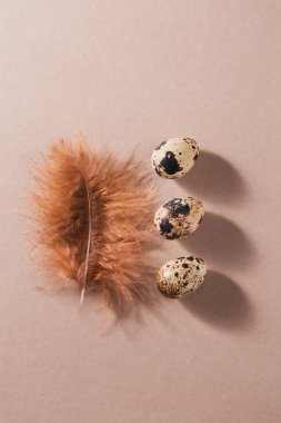 Paskalya arkaplanı, doğal renkli yumurtalar ve bej arka planda kahverengi tüyler. Metin için boş alan