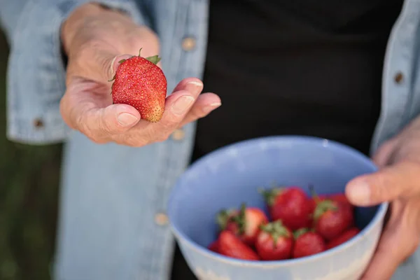 Hands of an elderly woman holding a bowl of ripe strawberries
