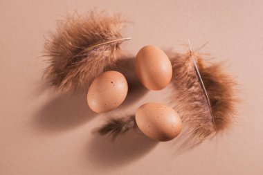 Bej arka planda doğal yumurta ve tüylü Paskalya kartın kutlu olsun.