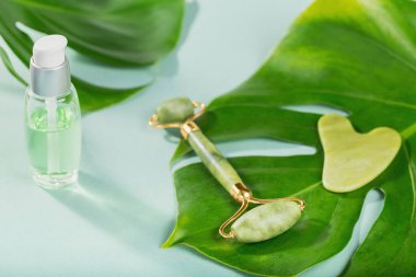 Masaj masörü, iki kafalı ve açık mavi arka planda yeşil taştan bir kazıyıcı. Güzellik yüz masajı terapisi, SPA kişisel bakım konsepti.