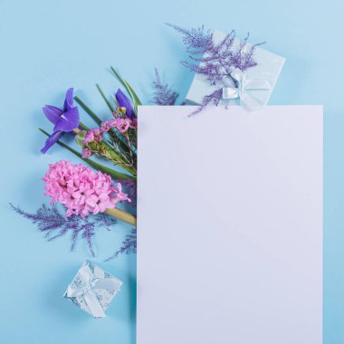 Mothers or Womens Day mock up card from spring hyacinth and iris flowers. Greeting card with empty place for text for International Mothers Day on blue background