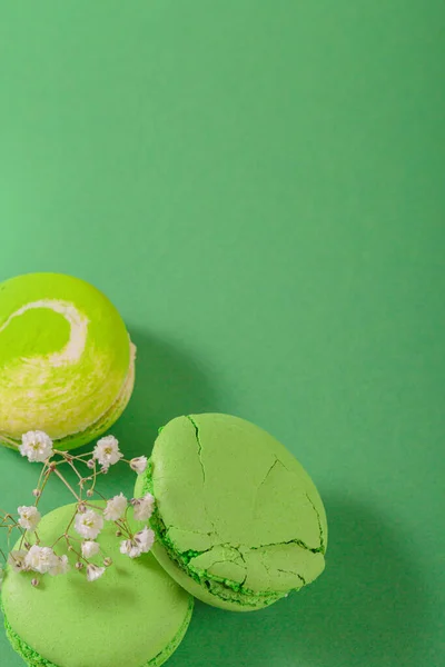 Green monochrom food background with french macaroons and flowers with copy space for text. Close up of macarons cakes from above, top view. Culinary and cooking concept