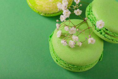 Green monochrom food background with french macaroons and flowers with copy space for text. Close up of macarons cakes from above, top view. Culinary and cooking concept