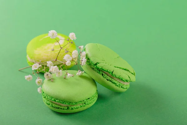 Green monochrom food background with french macaroons and flowers with copy space for text. Close up of macarons cakes. Culinary and cooking concept